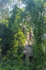 Fototapeta premium Ruins of Beelitz-Heilstätten Lost place Berlin Brandenburg;