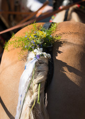 Am Steiß eines Haflinger Pferd befestigter Blumenschmuck bei einem traditionellen bäuerlichen Fest