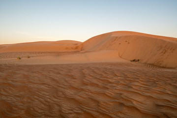 Fototapeta na wymiar Sharqiya Sands Desert, Oman