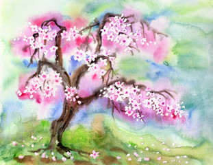 Blooming cherry, tree in bloom, spring landscape, watercolor painting.
