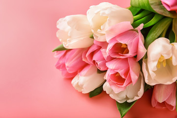 Bouquet of fresh tulips on coral background