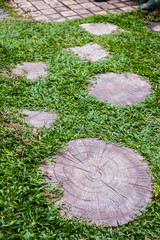 Round stone walkway decoration in lawn