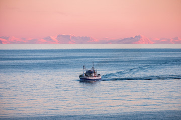 Fishing boat cruising on arctic sea to fish at sunset in winter