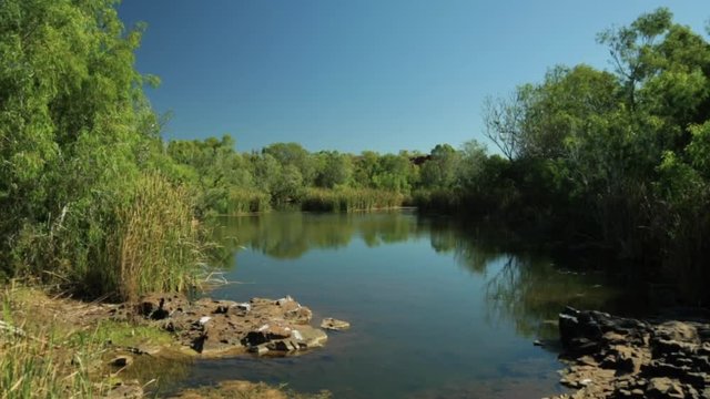 A tilting establishing shot of a beautiful waterhole surrounded by bushes, trees and other life in outback Australia