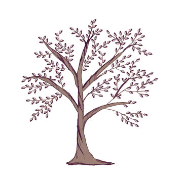 Family tree template isolated on white background. Hand drawn tree silhouette logo. Vector illustration. 