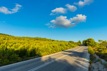 Greece, Zakynthos, Endless highway in untouched green nature landscape