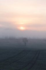 Sonennaufgang in der Eifel zur Wintersonnenwende