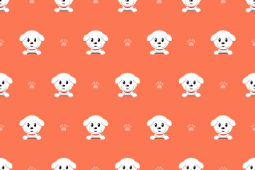 Fototapeta premium Vector cartoon character bichon frise dog seamless pattern for design.