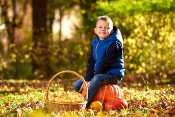 Happy boy in autumn park with apples and pumpkins