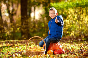 Happy boy in autumn park with apples and pumpkins