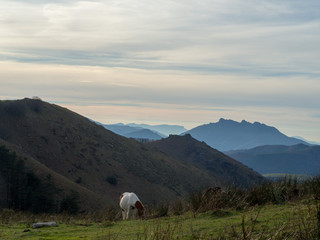 montagnes basques