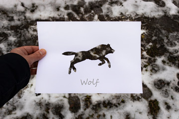 Animal paper silhouettes with nature colors