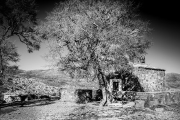 Bare tree and house Crete Greece Europe