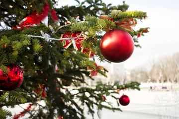 Part of a Christmas tree with decoration , garlands and lights