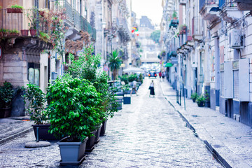 Travel to Italy -  historical street of Catania, Sicily, decorative plants in pots