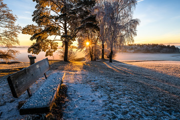 Sonnenaufgang im winterlichen Schwarzwald