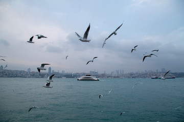 Fototapeta na wymiar View of the city from the ferry 22 December, 2018 in Istanbul, Turkey. - Image