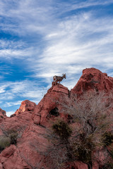 Valley of Fire - Nevda State park