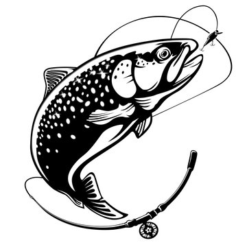 Trout Drawings Images – Browse 24,132 Stock Photos, Vectors, and Video |  Adobe Stock