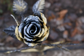 Golden forged rose in the park