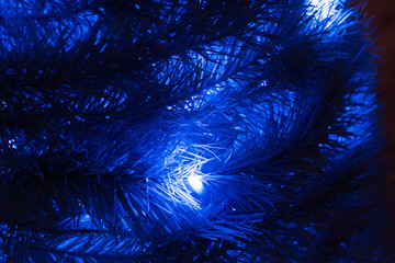 Fototapeta premium Blue bulbs of a garland on branches of a fir-tree at night