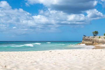 Cannons on the coast, on the Caribbean island of Barbados