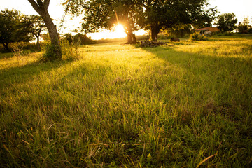 Es un paisaje iluminado por un cálido amanecer