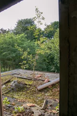 Wandcirkels plexiglas Ruïnes van Beelitz-Heilstätten Verloren plaats Berlijn Brandenburg  © seb868
