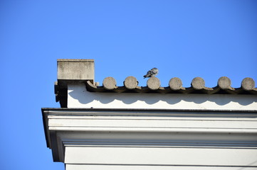 Joseph Plecnik's Market in the city centre of Ljubljana, Slovenia - Image