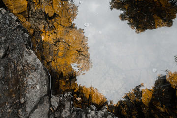 Sky Reflection In River Bed