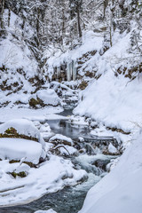 frozen river in winter