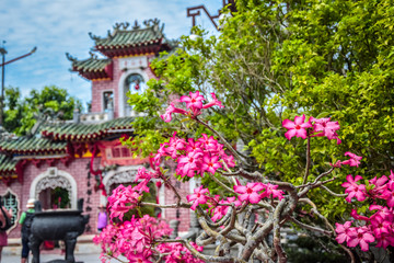 Fototapeta na wymiar flowers in front of temple