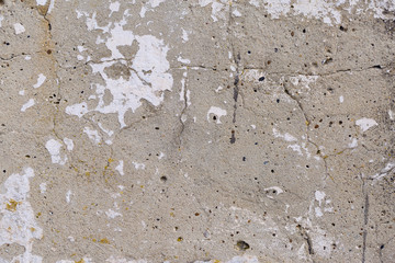 Asbestos slate texture concrete covered with lichen and moss