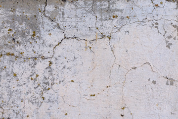 Asbestos slate texture concrete covered with lichen and moss