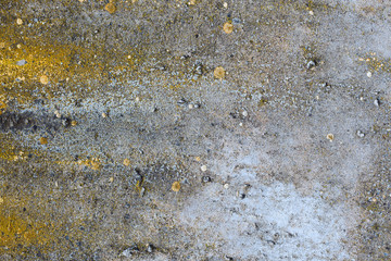 Asbestos slate texture concrete covered with lichen and moss