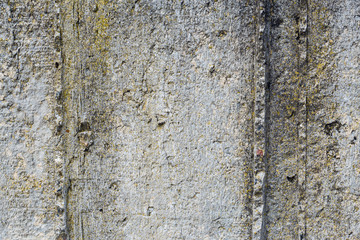 Asbestos slate texture concrete covered with lichen and moss