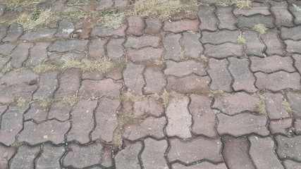 Perspective View of Colorful Brick Stone Street Road