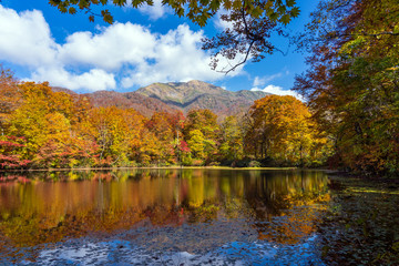 紅葉の白山国立公園・刈込池