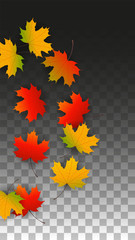 September Vector Background with Golden Falling Leaves. Autumn Illustration with Maple Red, Orange, Yellow Foliage. Isolated Leaf on Transparent Background. Bright Swirl. Suitable for Posters.
