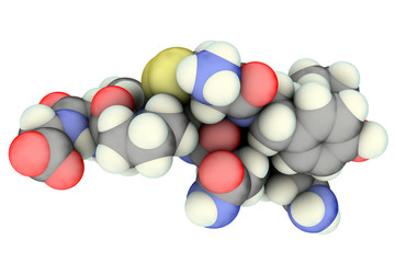Molecule of oxytocin, a hormone released from the neurohypophysis, 3D illustration. It causes uterine contraction and milk ejection, used in gynecology and lactation treatment