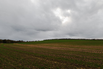 Fototapeta na wymiar Empty Field On An Overcast Day