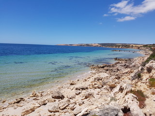Kangaroo island