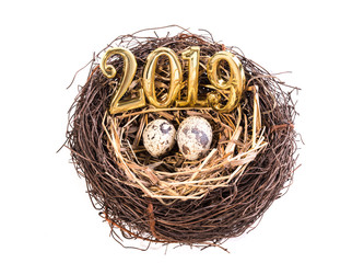 2019 nest with money isolated on white background