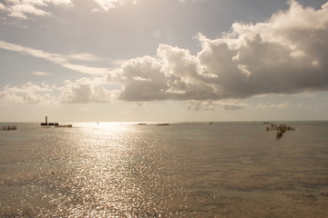 sunset on the beach