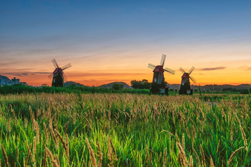 Fototapeta premium The sun rises in early morning windmill at Sora Ecological Wetland Park in Seoul, South Korea