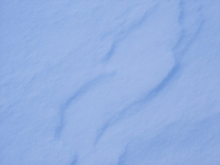 Shadows in the snow 5