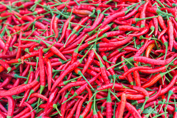 Cayenne pepper, chili spur pepper, long fed pepper, spur pepper (Scientific name: Capsicum annuum...