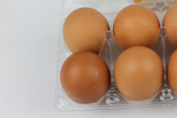 Close-up view of raw chicken eggs in egg box on white white background
