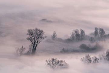 Paesaggio sul fiume con nebbia, Italia