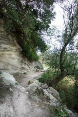 Country road Crete Greece Europe